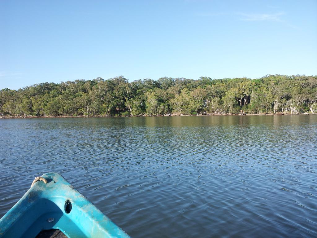 Eumarella Shores Noosa Lake Retreat Noosaville Ngoại thất bức ảnh